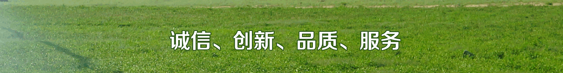 91香蕉污视频係統