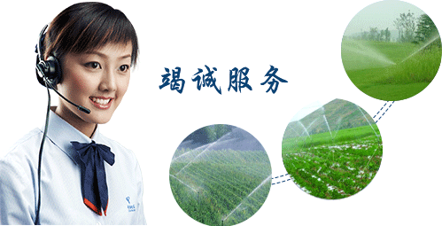  節水91香蕉污视频
