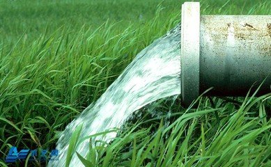  農業91香蕉污视频廠家